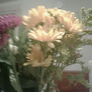 Meet your Posher, Cassie